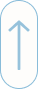 Scroll to Top